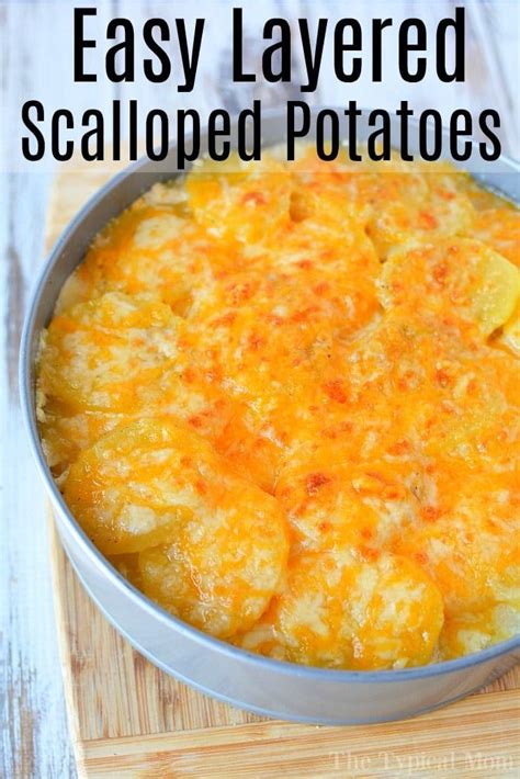 ninja instant pot scalloped potatoes